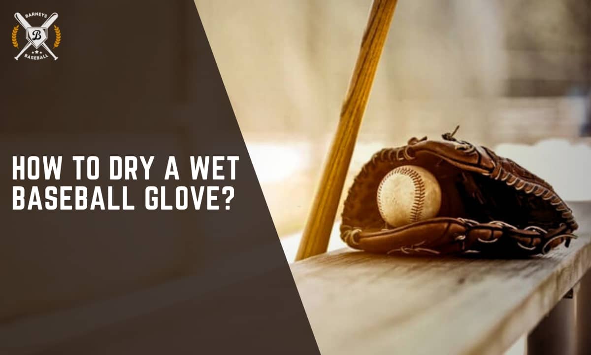 How much does a Baseball Glove Cost