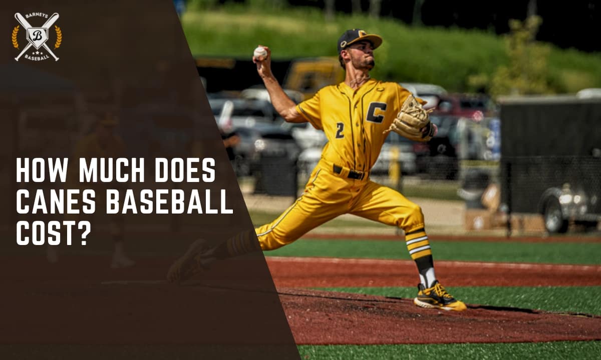 How Much Does Canes Baseball Cost Fees & Membership Explained 2024.