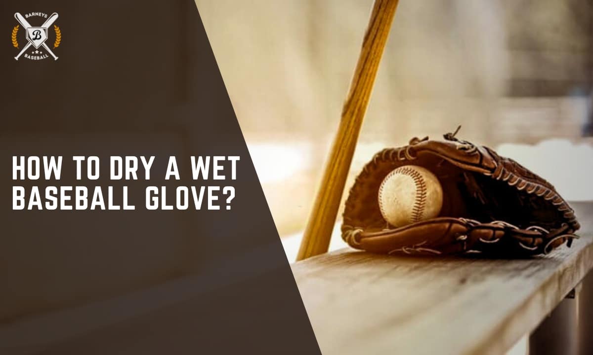 How to dry a wet baseball glove? Easy Techniques [Update 2024]